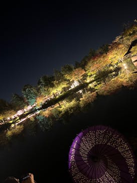 国営昭和記念公園 秋の夜散歩に投稿された画像（2023/11/3）