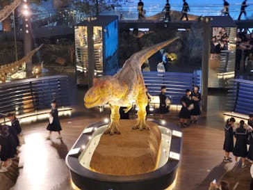 福井県立恐竜博物館に投稿された画像（2023/11/3）