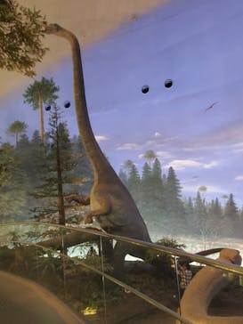 福井県立恐竜博物館に投稿された画像（2023/11/3）