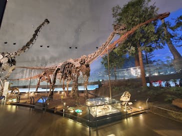 福井県立恐竜博物館に投稿された画像（2023/11/3）