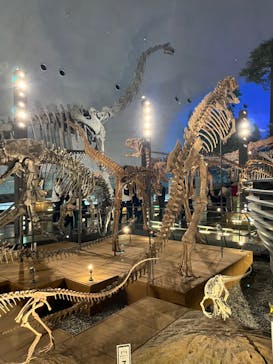 福井県立恐竜博物館に投稿された画像（2023/11/3）