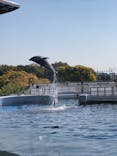 京都水族館に投稿された画像（2023/11/4）