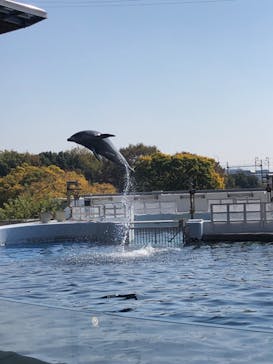 京都水族館に投稿された画像（2023/11/3）