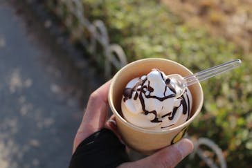 みろくの里に投稿された画像（2023/11/3）