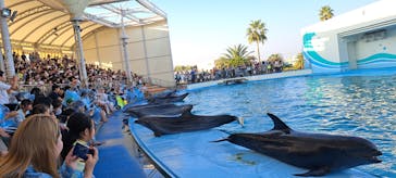 南知多ビーチランド＆南知多おもちゃ王国に投稿された画像（2023/11/3）