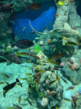 レゴランドⓇ・ジャパン・リゾートに投稿された画像（2023/11/3）