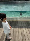 仙台うみの杜水族館に投稿された画像（2023/11/4）