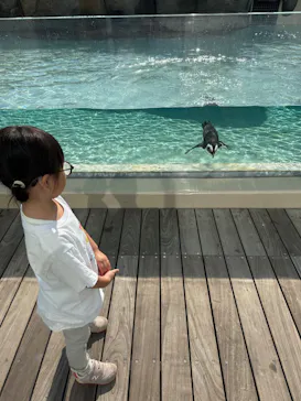 仙台うみの杜水族館に投稿された画像（2023/11/3）