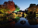 国営昭和記念公園 秋の夜散歩に投稿された画像（2023/11/4）