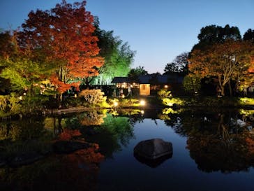 国営昭和記念公園 秋の夜散歩に投稿された画像（2023/11/3）