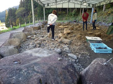 福井県立恐竜博物館に投稿された画像（2023/11/3）