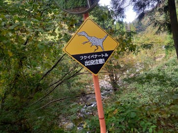 福井県立恐竜博物館に投稿された画像（2023/11/3）