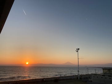 新江ノ島水族館に投稿された画像（2023/11/3）