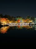 国営昭和記念公園 秋の夜散歩に投稿された画像（2023/11/4）