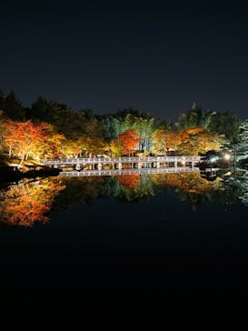 国営昭和記念公園 秋の夜散歩に投稿された画像（2023/11/3）