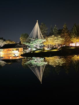 国営昭和記念公園 秋の夜散歩に投稿された画像（2023/11/3）