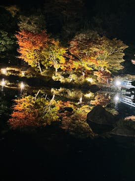 国営昭和記念公園 秋の夜散歩に投稿された画像（2023/11/3）