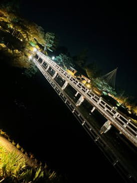 国営昭和記念公園 秋の夜散歩に投稿された画像（2023/11/3）