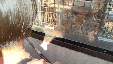 群馬サファリパークに投稿された画像（2023/11/3）