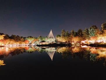 国営昭和記念公園 秋の夜散歩に投稿された画像（2023/11/3）