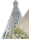 東京スカイツリーに投稿された画像（2023/11/4）