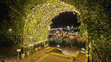 いばらきフラワーパークに投稿された画像（2023/11/3）