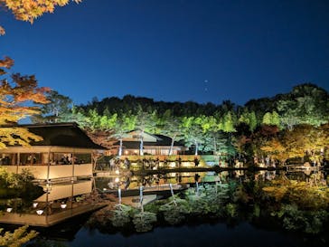 国営昭和記念公園 秋の夜散歩に投稿された画像（2023/11/3）