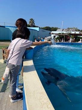南知多ビーチランド＆南知多おもちゃ王国に投稿された画像（2023/11/3）