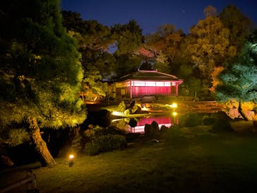 NAKED meets 二条城 2025 観月に投稿された画像（2023/11/3）