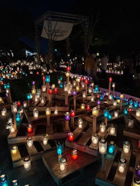 江の島シーキャンドルに投稿された画像（2023/11/4）