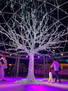 フェスタ・ルーチェに投稿された画像（2023/11/4）