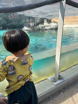 天王寺動物園に投稿された画像（2023/11/4）