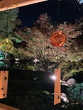 国営昭和記念公園 秋の夜散歩に投稿された画像（2023/11/4）