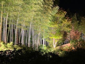 国営昭和記念公園 秋の夜散歩に投稿された画像（2023/11/4）