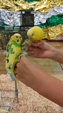 いきもの探検隊湘南に投稿された画像（2023/11/4）