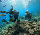 沖縄マリンサービス碧に投稿された画像（2023/11/4）