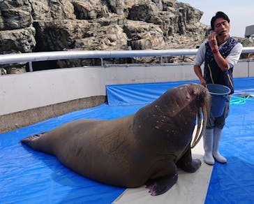 大分マリーンパレス水族館 「うみたまご」に投稿された画像（2023/11/4）