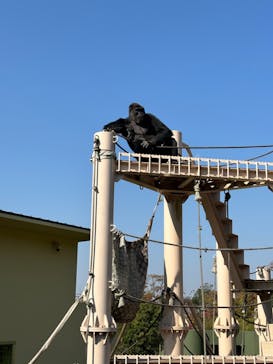 名古屋市東山動植物園に投稿された画像（2023/11/4）