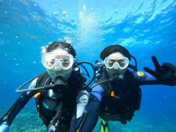 武藤潜水に投稿された画像（2023/11/4）