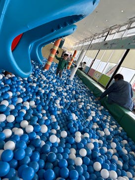 伊豆・三津シーパラダイスに投稿された画像（2023/11/4）