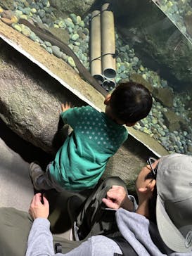 伊豆・三津シーパラダイスに投稿された画像（2023/11/4）