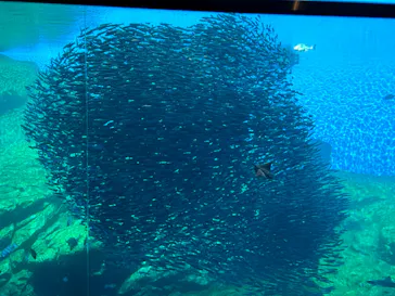 仙台うみの杜水族館に投稿された画像（2023/11/4）