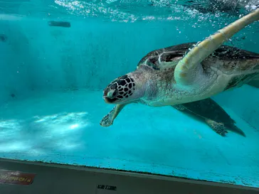仙台うみの杜水族館に投稿された画像（2023/11/4）