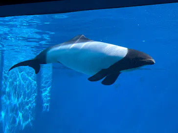 仙台うみの杜水族館に投稿された画像（2023/11/4）