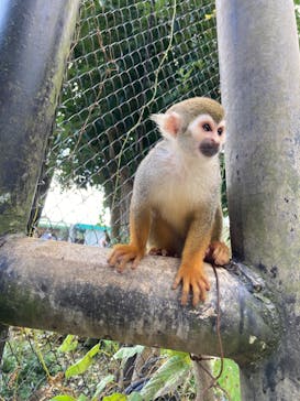 長崎バイオパークに投稿された画像（2023/11/4）