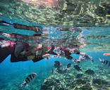 武藤潜水に投稿された画像（2023/11/4）