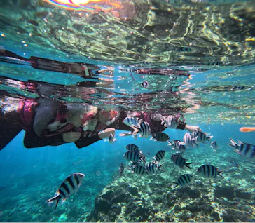 武藤潜水に投稿された画像（2023/11/4）