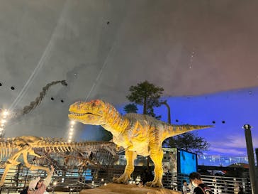 福井県立恐竜博物館に投稿された画像（2023/11/4）