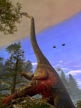 福井県立恐竜博物館に投稿された画像（2023/11/4）