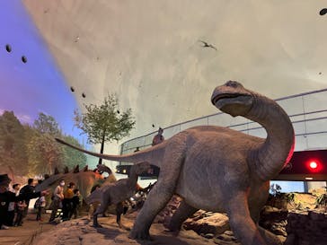 福井県立恐竜博物館に投稿された画像（2023/11/4）